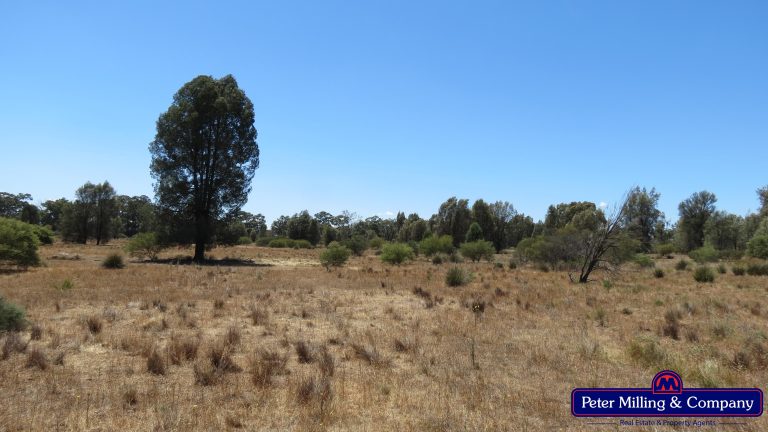 Mixed farming property at Hennessys Road, Dubbo NSW 2830 - photo 5