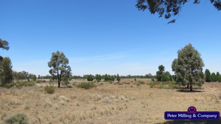 Mixed farming property at Hennessys Road, Dubbo NSW 2830 - photo 8