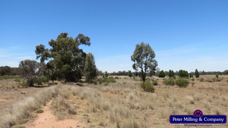 Mixed farming property at Hennessys Road, Dubbo NSW 2830 - photo 9