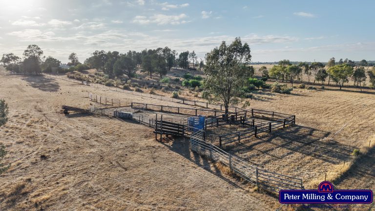 4 bedroom lifestyle property at 31L Rosedale Road, Dubbo NSW 2830 - photo 25