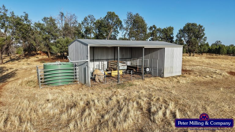 4 bedroom lifestyle property at 31L Rosedale Road, Dubbo NSW 2830 - photo 23
