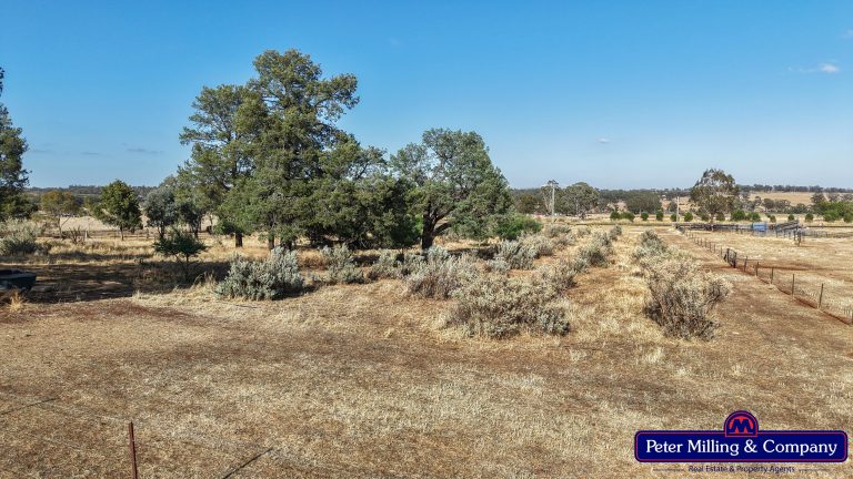 4 bedroom lifestyle property at 31L Rosedale Road, Dubbo NSW 2830 - photo 24