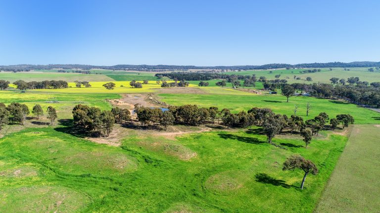 3 bedroom mixed farming property at 'Belvedere' 565 Gollan Road, Goolma NSW 2852 - photo 18