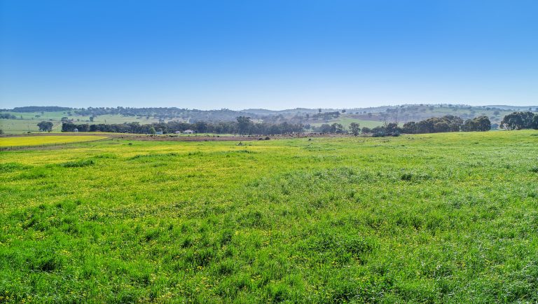 3 bedroom mixed farming property at 'Belvedere' 565 Gollan Road, Goolma NSW 2852 - photo 4
