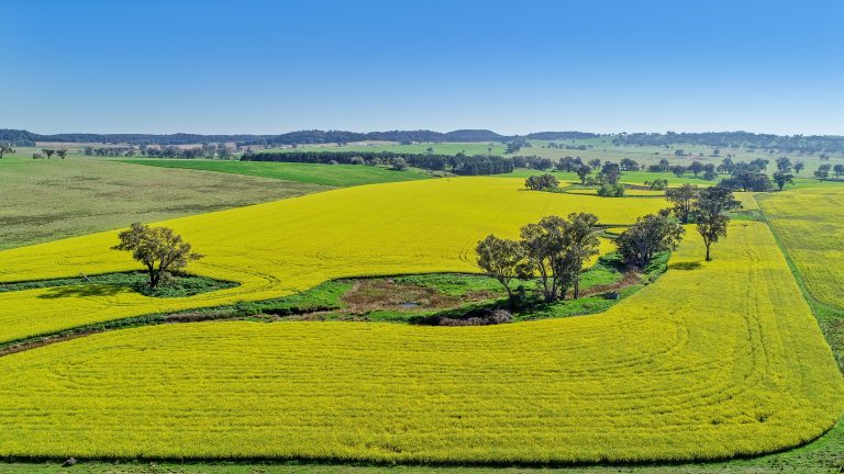 3 bedroom mixed farming property at 'Belvedere' 565 Gollan Road, Goolma NSW 2852 - photo 14