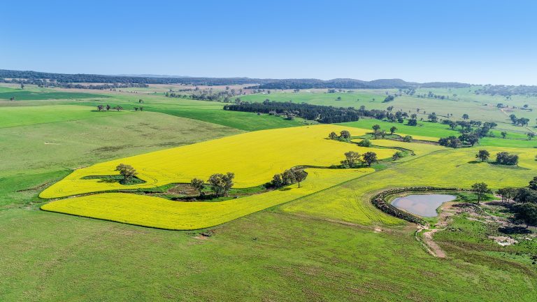 3 bedroom mixed farming property at 'Belvedere' 565 Gollan Road, Goolma NSW 2852 - photo 15