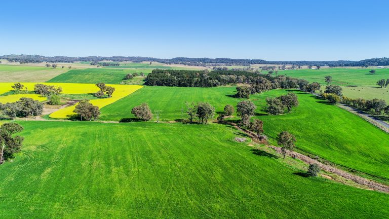3 bedroom mixed farming property at 'Belvedere' 565 Gollan Road, Goolma NSW 2852 - photo 2