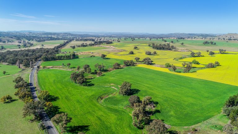 3 bedroom mixed farming property at 'Belvedere' 565 Gollan Road, Goolma NSW 2852 - photo 19