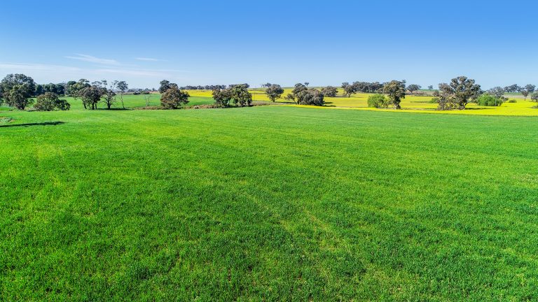 3 bedroom mixed farming property at 'Belvedere' 565 Gollan Road, Goolma NSW 2852 - photo 6
