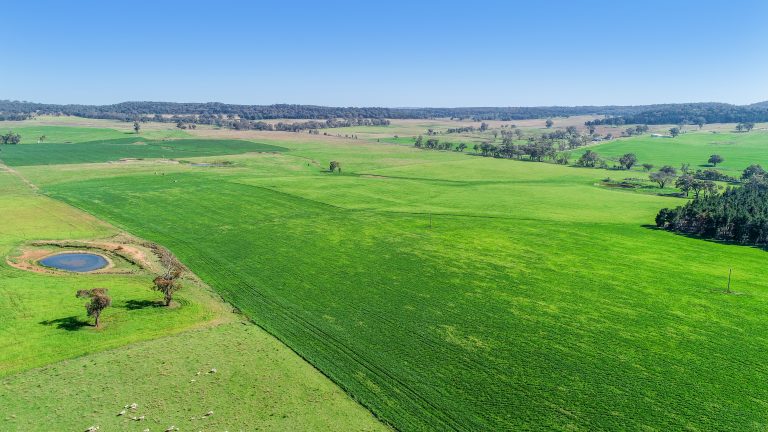3 bedroom mixed farming property at 'Belvedere' 565 Gollan Road, Goolma NSW 2852 - photo 13