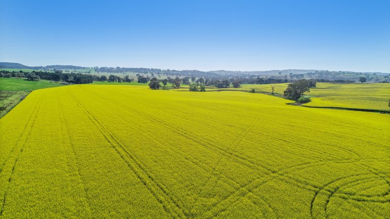 3 bedroom mixed farming property at 'Belvedere' 565 Gollan Road, Goolma NSW 2852 - photo 20