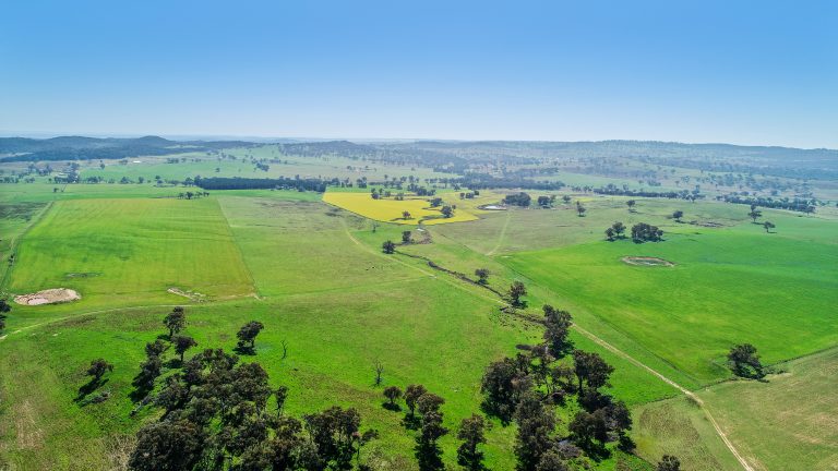 3 bedroom mixed farming property at 'Belvedere' 565 Gollan Road, Goolma NSW 2852 - photo 22