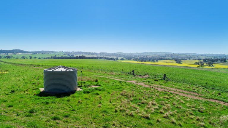 3 bedroom mixed farming property at 'Belvedere' 565 Gollan Road, Goolma NSW 2852 - photo 10