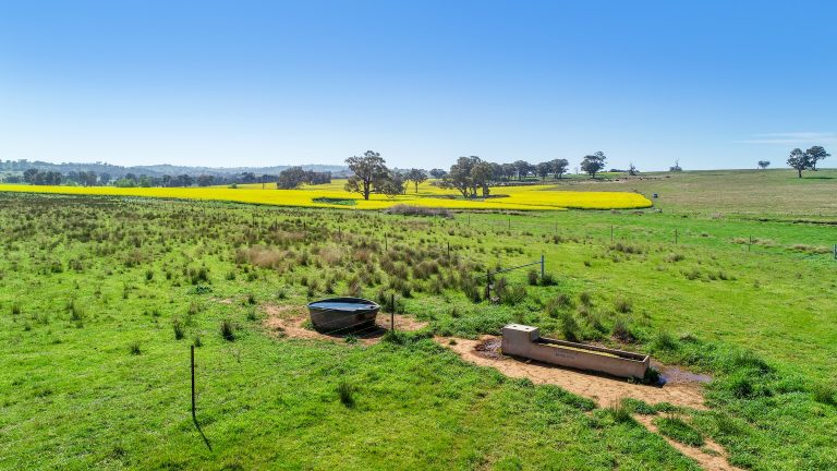 3 bedroom mixed farming property at 'Belvedere' 565 Gollan Road, Goolma NSW 2852 - photo 11
