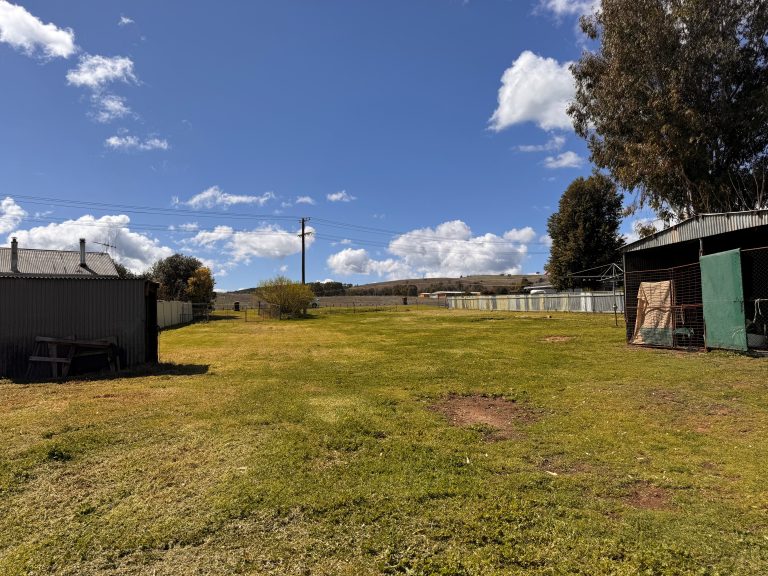 Land at 121 Curtis Street, Wellington NSW 2820 - photo 9