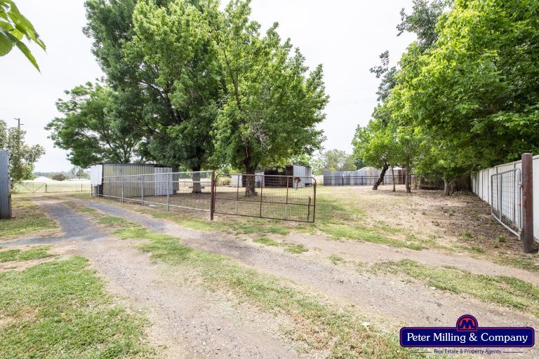 3 bedroom house at 20 Percy Street, Wellington NSW 2820 - photo 21