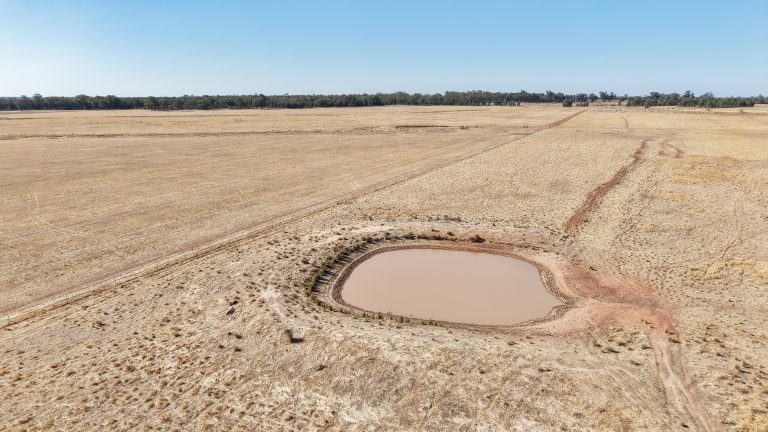 Mixed farming property at 25L & 40R North Terramungamine Road, Dubbo NSW 2830 - photo 8