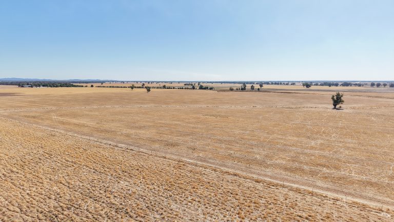 Mixed farming property at 25L & 40R North Terramungamine Road, Dubbo NSW 2830 - photo 9