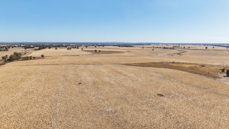 Mixed farming property at 25L & 40R North Terramungamine Road, Dubbo NSW 2830 - photo 10