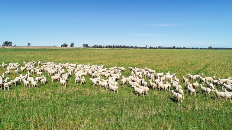 Mixed farming property at 25L & 40R North Terramungamine Road, Dubbo NSW 2830
