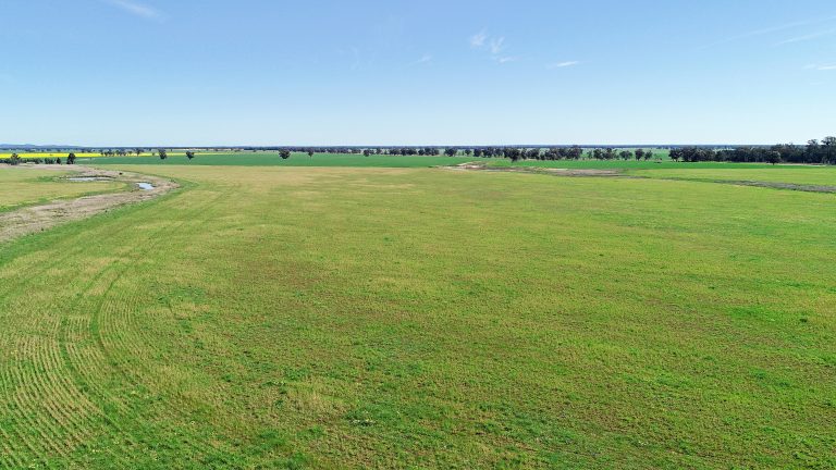 Mixed farming property at 25L & 40R North Terramungamine Road, Dubbo NSW 2830 - photo 2