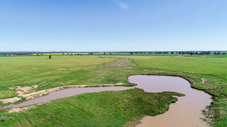 Mixed farming property at 25L & 40R North Terramungamine Road, Dubbo NSW 2830 - photo 3