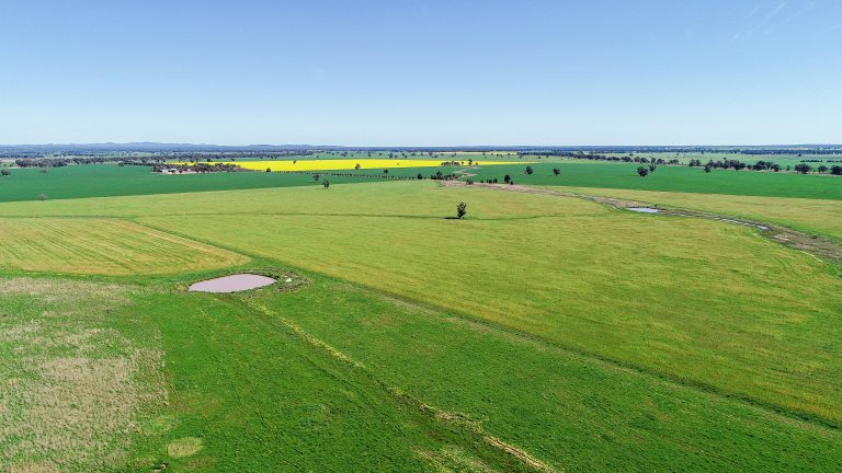 Mixed farming property at 25L & 40R North Terramungamine Road, Dubbo NSW 2830 - photo 4