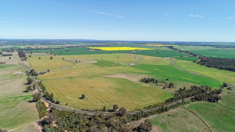 Mixed farming property at 25L & 40R North Terramungamine Road, Dubbo NSW 2830 - photo 5