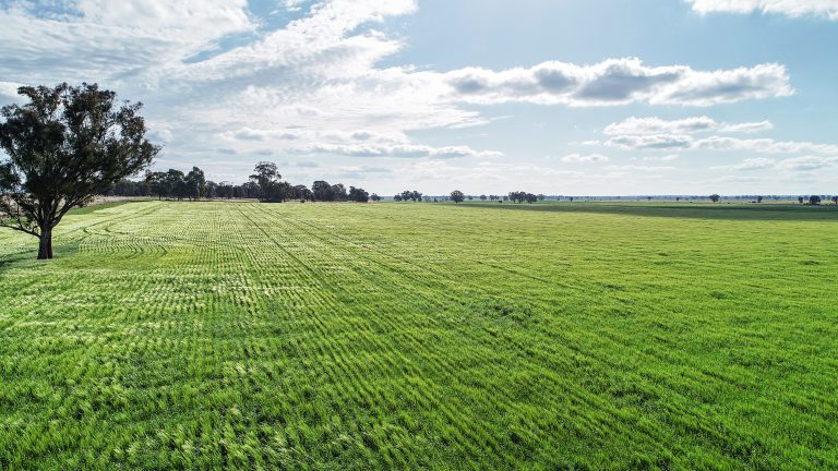 Mixed farming property at 25L & 40R North Terramungamine Road, Dubbo NSW 2830 - photo 11
