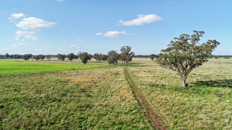 Mixed farming property at 25L & 40R North Terramungamine Road, Dubbo NSW 2830 - photo 12