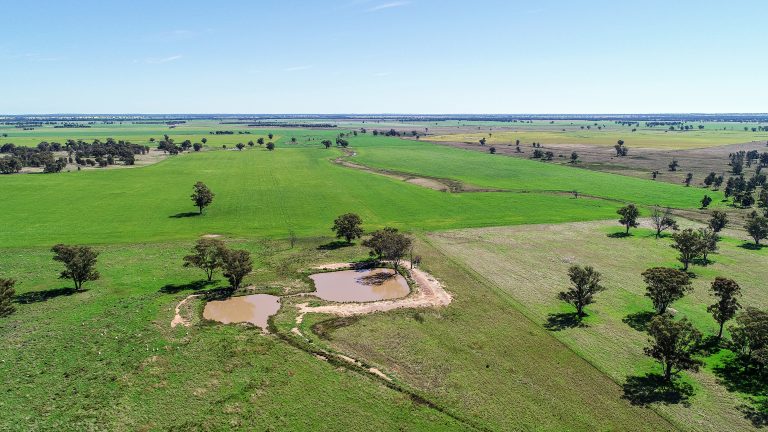 Mixed farming property at 25L & 40R North Terramungamine Road, Dubbo NSW 2830 - photo 13