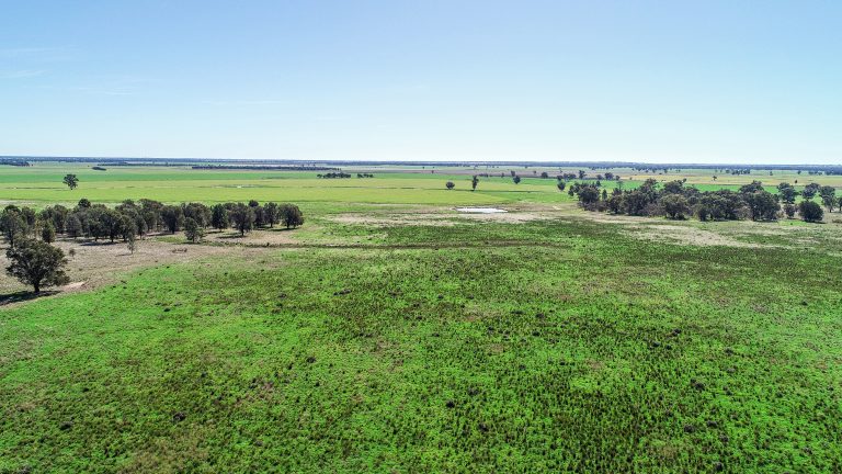 Mixed farming property at 25L & 40R North Terramungamine Road, Dubbo NSW 2830 - photo 14