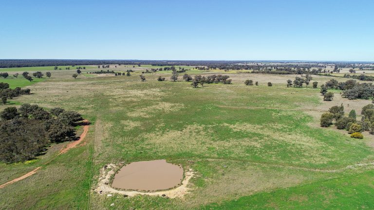 Mixed farming property at 25L & 40R North Terramungamine Road, Dubbo NSW 2830 - photo 15