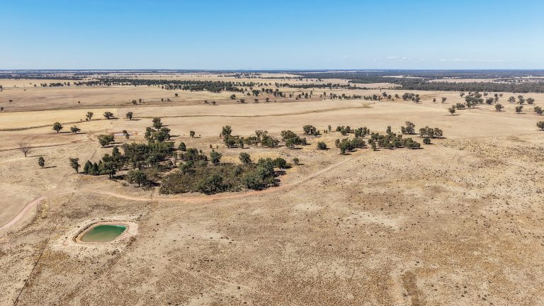 Mixed farming property at 25L & 40R North Terramungamine Road, Dubbo NSW 2830 - photo 16
