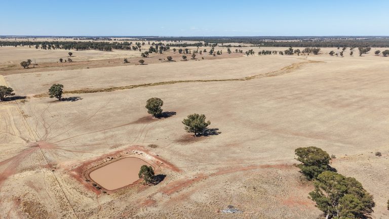 Mixed farming property at 25L & 40R North Terramungamine Road, Dubbo NSW 2830 - photo 17