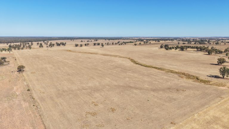 Mixed farming property at 25L & 40R North Terramungamine Road, Dubbo NSW 2830 - photo 18