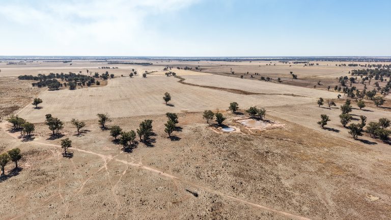 Mixed farming property at 25L & 40R North Terramungamine Road, Dubbo NSW 2830 - photo 19