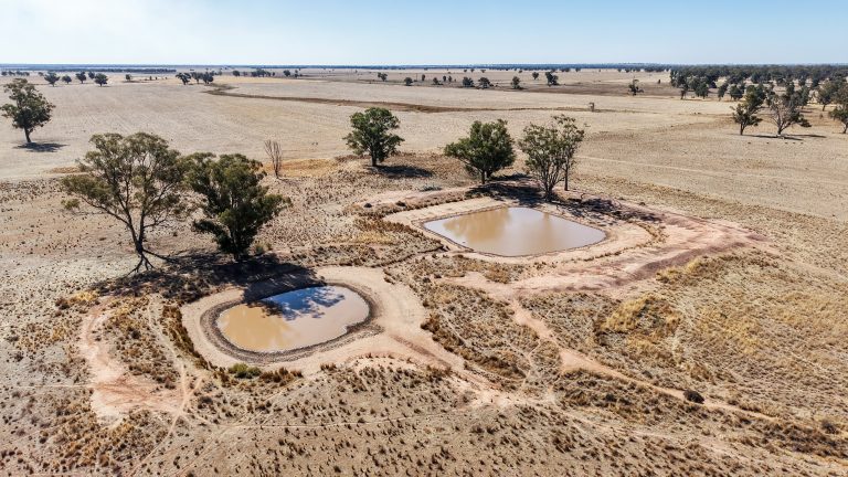 Mixed farming property at 25L & 40R North Terramungamine Road, Dubbo NSW 2830 - photo 20