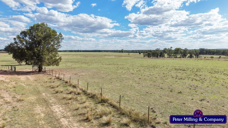 4 bedroom mixed farming property at 44L Woodleys Road, Wongarbon NSW 2831 - photo 26