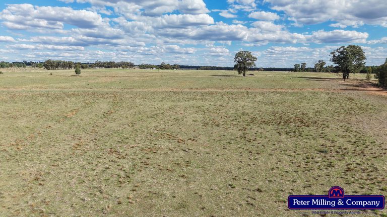 4 bedroom mixed farming property at 44L Woodleys Road, Wongarbon NSW 2831 - photo 27
