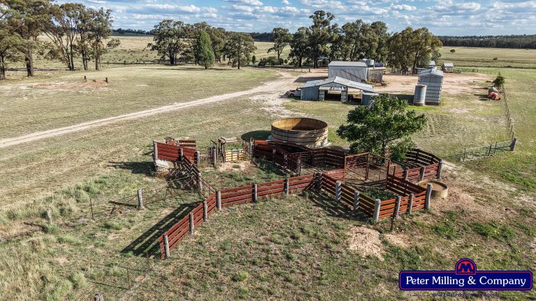 4 bedroom mixed farming property at 44L Woodleys Road, Wongarbon NSW 2831 - photo 21