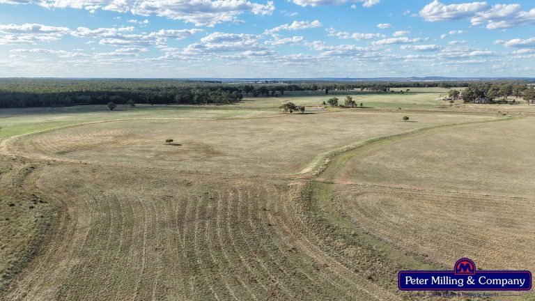 4 bedroom mixed farming property at 44L Woodleys Road, Wongarbon NSW 2831 - photo 34