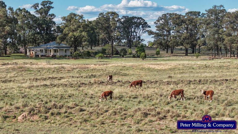 4 bedroom mixed farming property at 44L Woodleys Road, Wongarbon NSW 2831 - photo 35