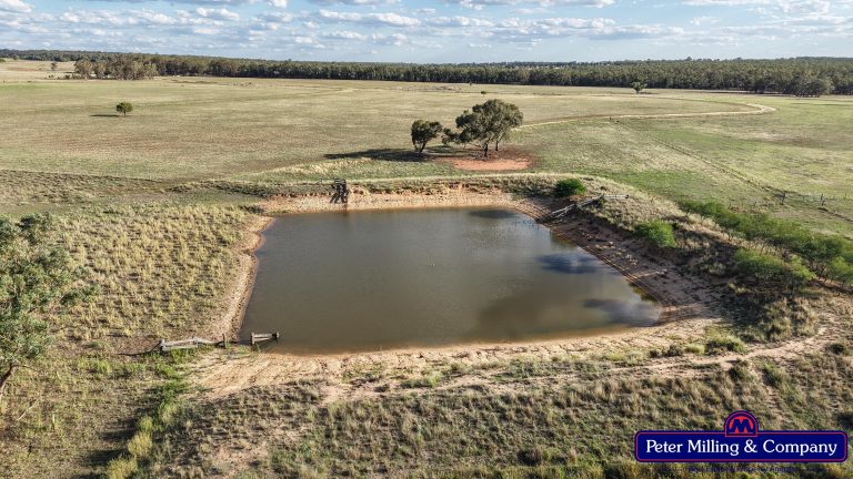 4 bedroom mixed farming property at 44L Woodleys Road, Wongarbon NSW 2831 - photo 25
