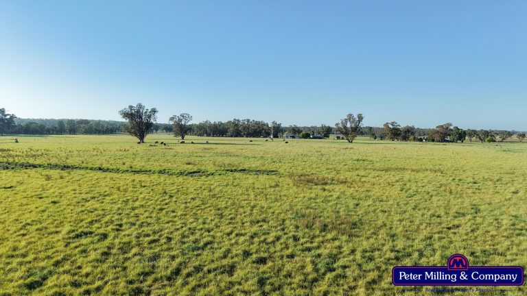 3 bedroom mixed farming property at 59 Piambra Road, Binnaway NSW 2395 - photo 7