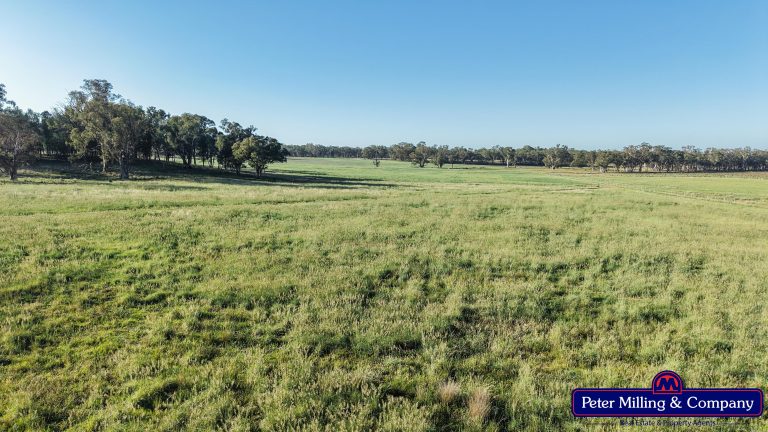 3 bedroom mixed farming property at 59 Piambra Road, Binnaway NSW 2395 - photo 8
