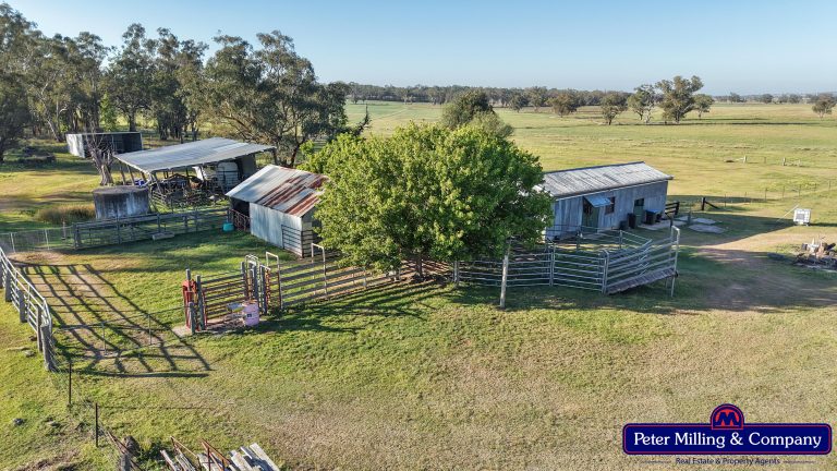3 bedroom mixed farming property at 59 Piambra Road, Binnaway NSW 2395 - photo 6