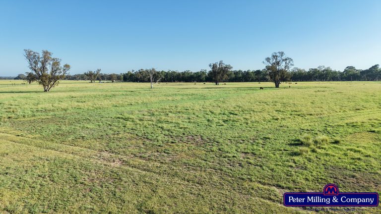 3 bedroom mixed farming property at 59 Piambra Road, Binnaway NSW 2395 - photo 9