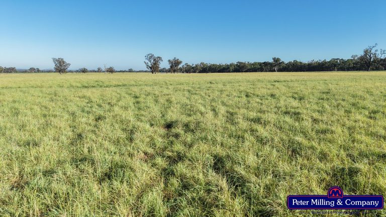 3 bedroom mixed farming property at 59 Piambra Road, Binnaway NSW 2395 - photo 10