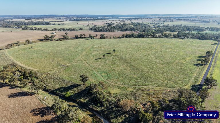 3 bedroom mixed farming property at 59 Piambra Road, Binnaway NSW 2395 - photo 13